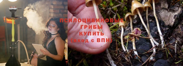 таблы Алзамай